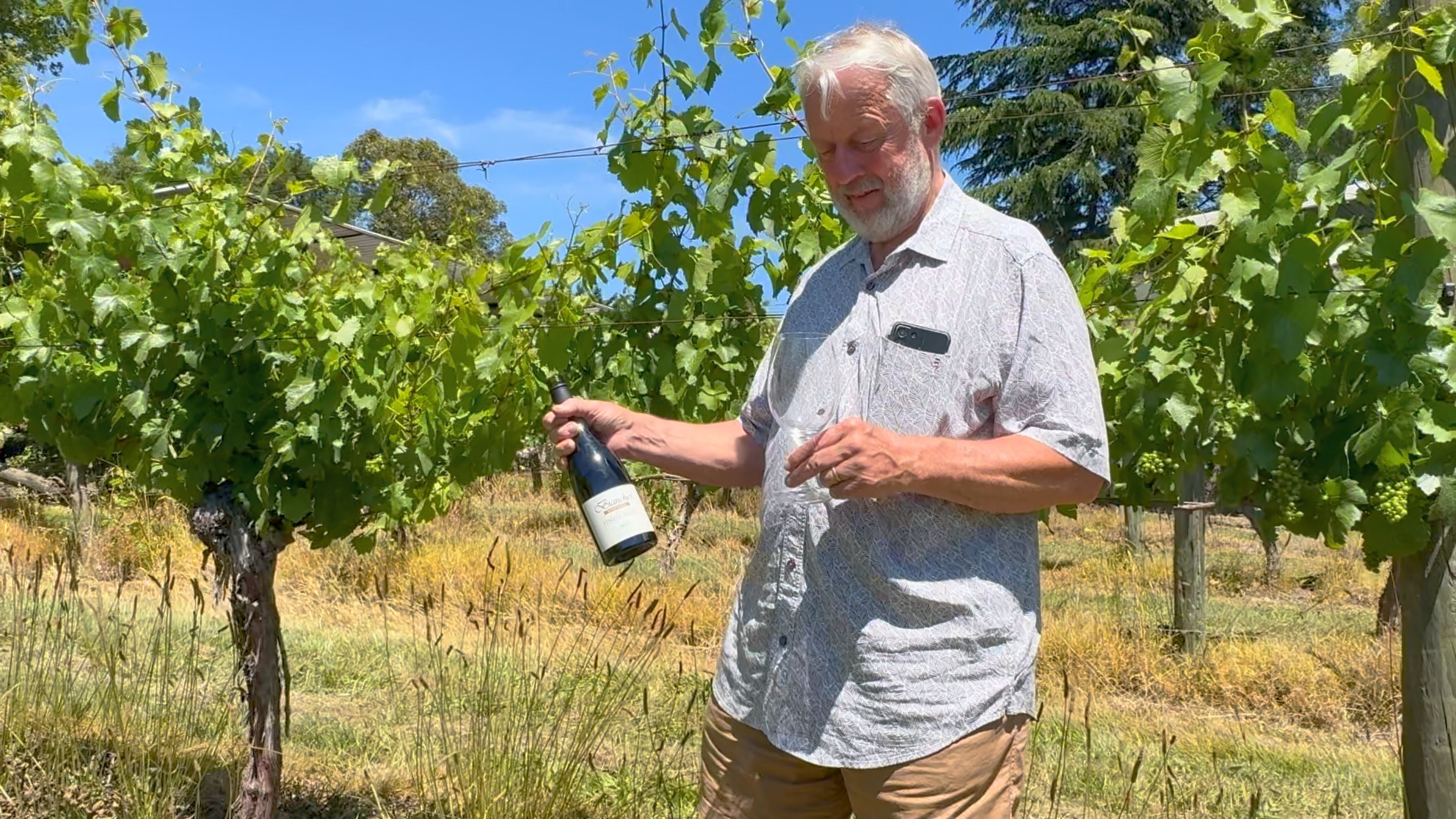 This is an image of Lindsay Corby, a wine maker in the Yarra Valley and owner of Italian restaurant, Casa Bianchet.